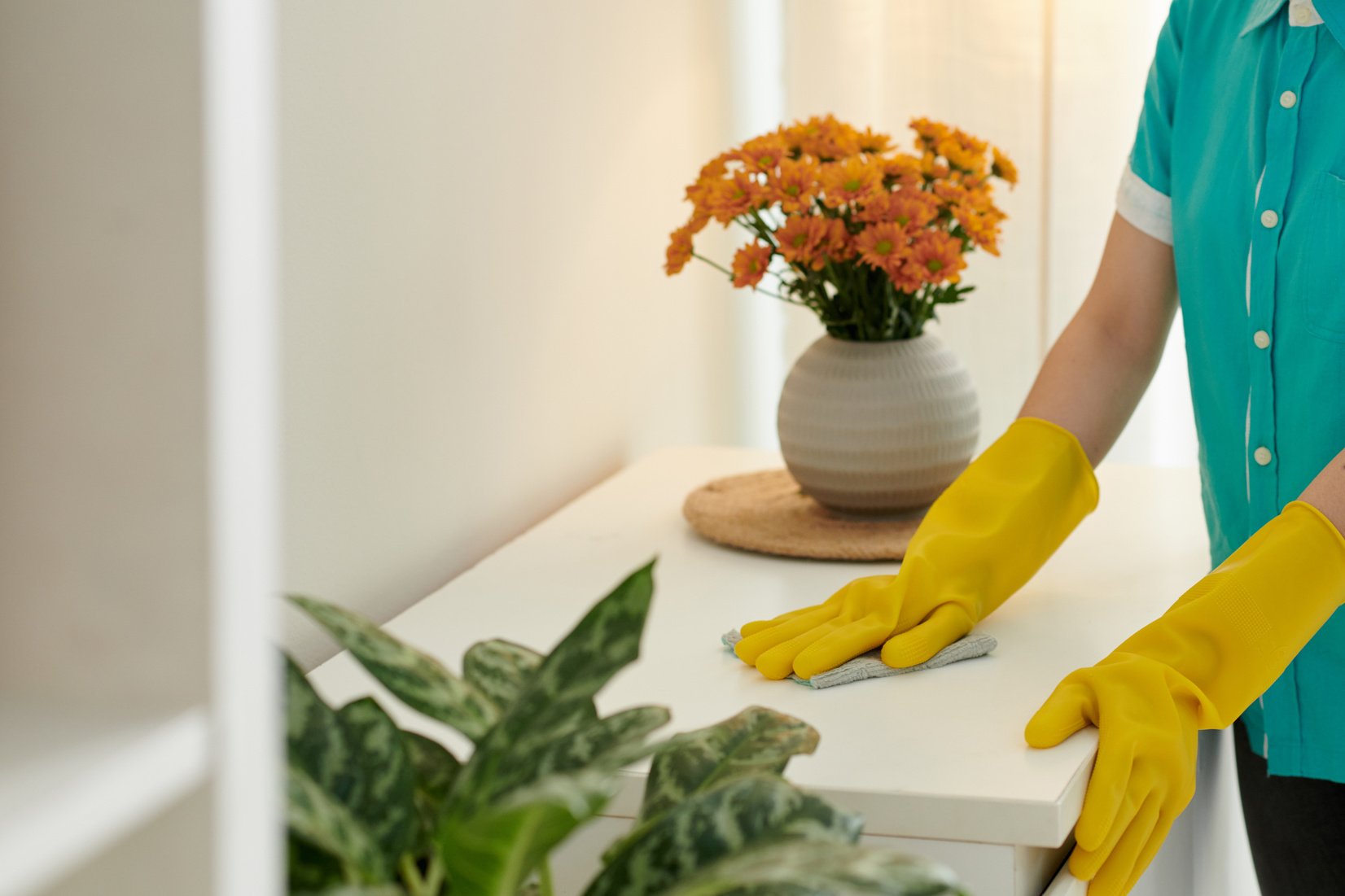 Housekeeping Professional Wiping Dust