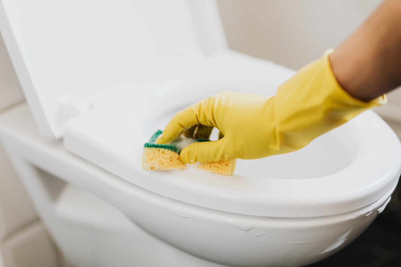 Crop faceless housekeeper cleaning toilet bowl